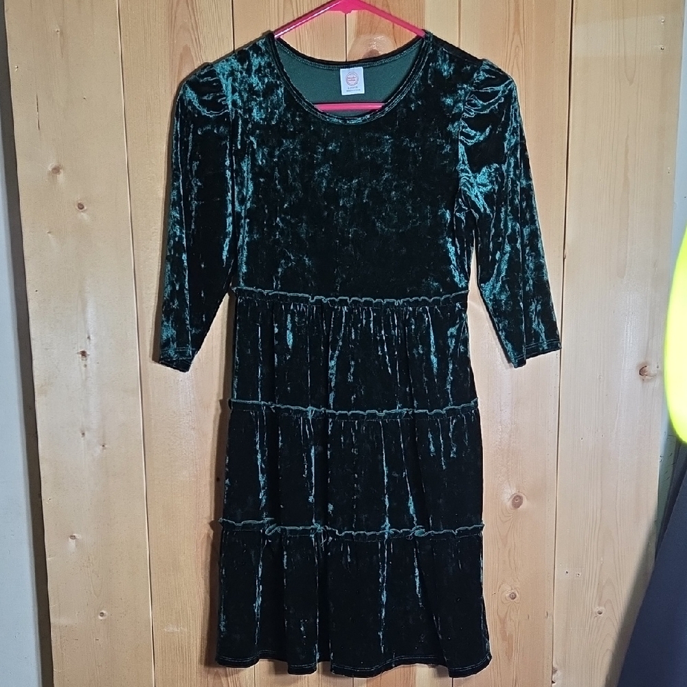 Wonder Nation Velvet Emerald Dress